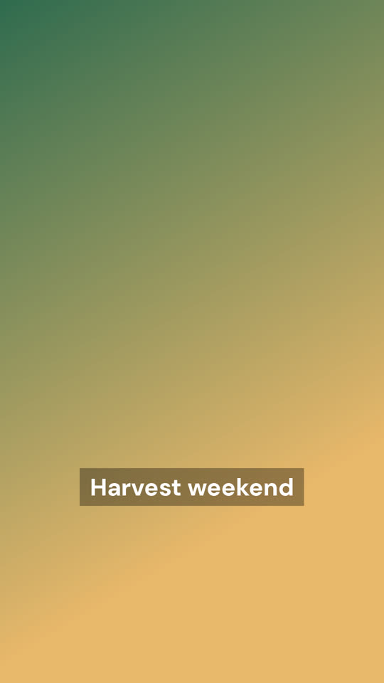 Sample Harvest weekend fade-in video cover